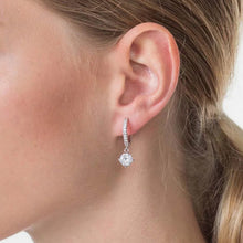 Load image into Gallery viewer, Elegant earrings