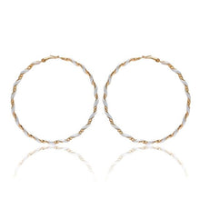 Load image into Gallery viewer, Twisted Spiral  Earrings